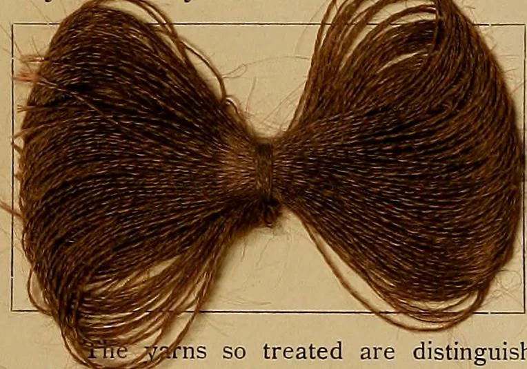 An illustration from The coal tar colours of Farbwerke vorm. Meister, Lucius & Brüning, Hoechst on Main, Germany, and their application in wool dyeing, 1910, leaf 69