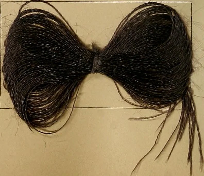 An illustration from The coal tar colours of Farbwerke vorm. Meister, Lucius & Brüning, Hoechst on Main, Germany, and their application in wool dyeing, 1910, leaf 69