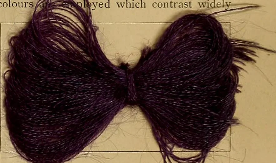 An illustration from The coal tar colours of Farbwerke vorm. Meister, Lucius & Brüning, Hoechst on Main, Germany, and their application in wool dyeing, 1910, leaf 70