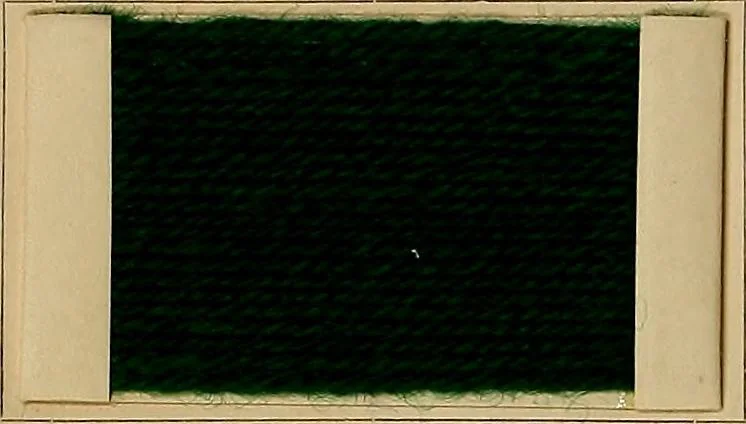 An illustration from The coal tar colours of Farbwerke vorm. Meister, Lucius & Brüning, Hoechst on Main, Germany, and their application in wool dyeing, 1910, leaf 73