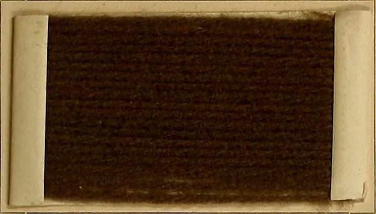 An illustration from The coal tar colours of Farbwerke vorm. Meister, Lucius & Brüning, Hoechst on Main, Germany, and their application in wool dyeing, 1910, leaf 76