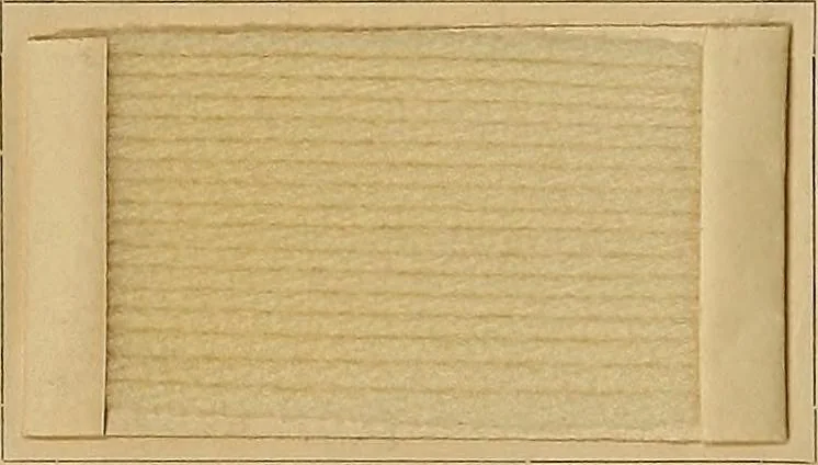 An illustration from The coal tar colours of Farbwerke vorm. Meister, Lucius & Brüning, Hoechst on Main, Germany, and their application in wool dyeing, 1910, leaf 79