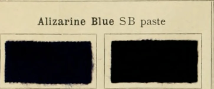 An illustration from The coal tar colours of Farbwerke vorm. Meister Lucius & Brüning, Hoechst on Main, Germany and their application in wool dyeing, 1910, leaf 119