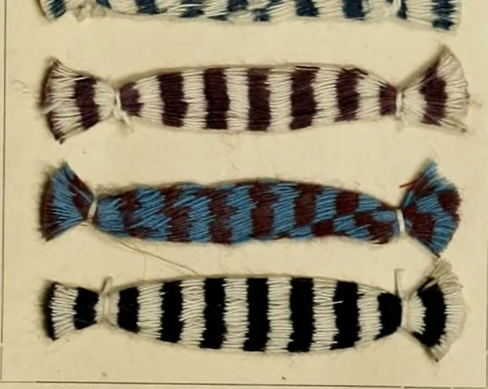 An illustration from The coal tar colours of Farbwerke vorm. Meister Lucius & Brüning : Hoechst on Main : and their application in dyeing cotton and other vegetable fibres, 1907, leaf 110