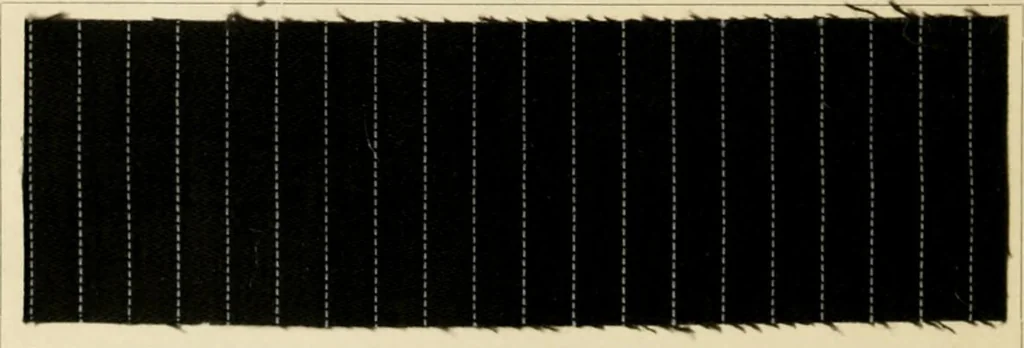 An illustration from The coal tar colours of Farbwerke vorm. Meister Lucius & Brüning : Hoechst on Main : and their application in dyeing cotton and other vegetable fibres, 1907, leaf 141