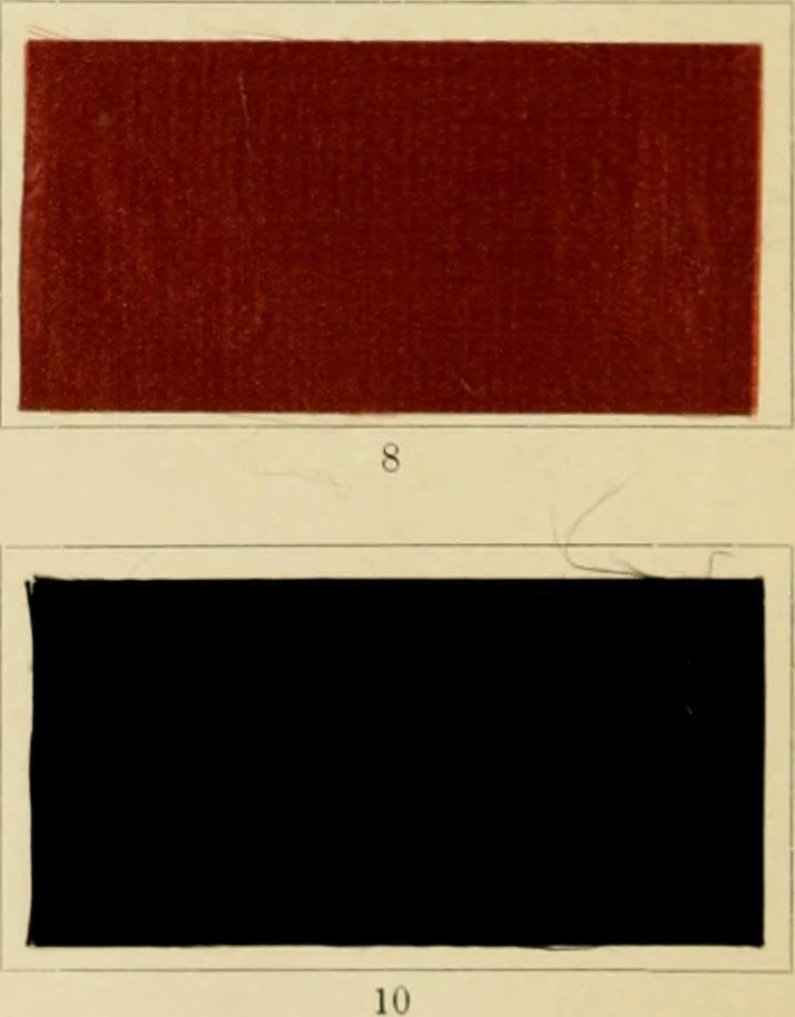 An illustration from The coal tar colours of Farbwerke vorm. Meister Lucius & Brüning : Hoechst on Main : and their application in dyeing cotton and other vegetable fibres, 1907, leaf 145