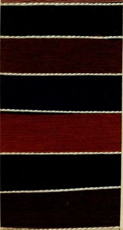 An illustration from The coal tar colours of Farbwerke vorm. Meister Lucius & Brüning : Hoechst on Main : and their application in dyeing cotton and other vegetable fibres, 1907, leaf 54