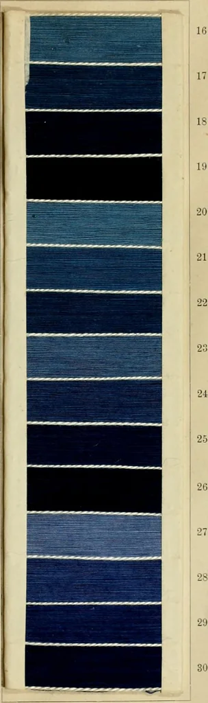 An illustration from The coal tar colours of Farbwerke vorm. Meister Lucius & Brüning : Hoechst on Main : and their application in dyeing cotton and other vegetable fibres, 1907, leaf 58