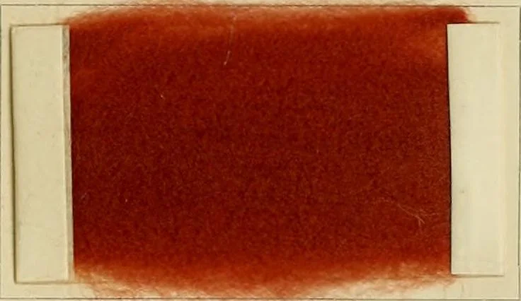 An illustration from The coal tar colours of Farbwerke vorm. Meister Lucius & Brüning, Hoechst on Main, Germany and their application in wool dyeing, 1910, leaf 116