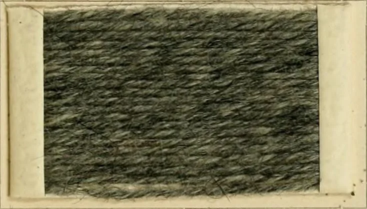 An illustration from The coal tar colours of Farbwerke vorm. Meister Lucius & Brüning, Hoechst on Main, Germany and their application in wool dyeing, 1910, leaf 136