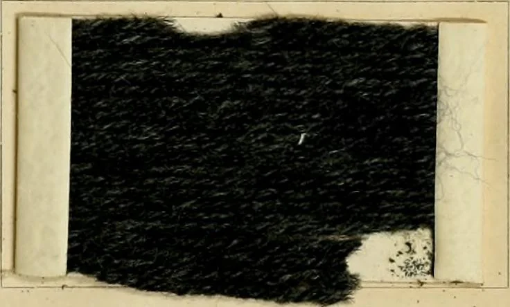 An illustration from The coal tar colours of Farbwerke vorm. Meister Lucius & Brüning, Hoechst on Main, Germany and their application in wool dyeing, 1910, leaf 136