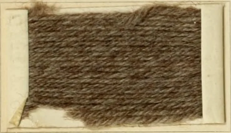 An illustration from The coal tar colours of Farbwerke vorm. Meister Lucius & Brüning, Hoechst on Main, Germany and their application in wool dyeing, 1910, leaf 139