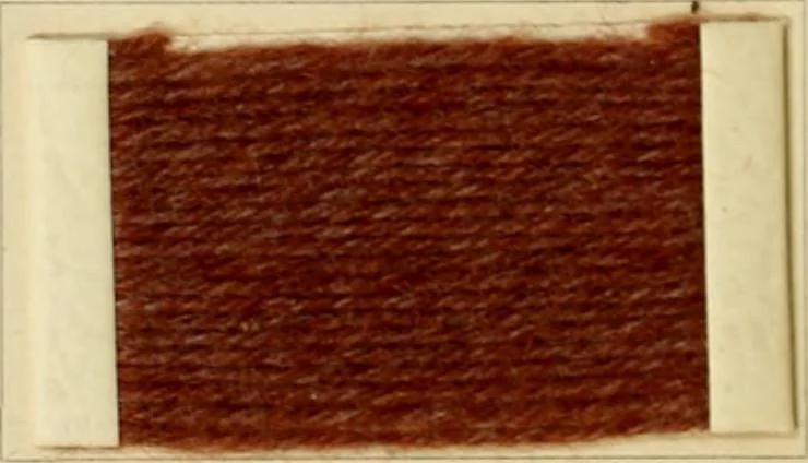 An illustration from The coal tar colours of Farbwerke vorm. Meister Lucius & Brüning, Hoechst on Main, Germany and their application in wool dyeing, 1910, leaf 139