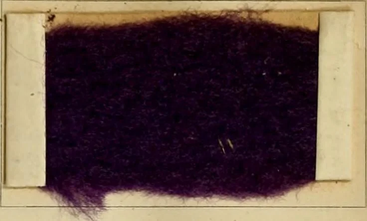 An illustration from The coal tar colours of Farbwerke vorm. Meister Lucius & Brüning, Hoechst on Main, Germany and their application in wool dyeing, 1910, leaf 144
