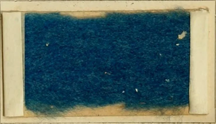An illustration from The coal tar colours of Farbwerke vorm. Meister Lucius & Brüning, Hoechst on Main, Germany and their application in wool dyeing, 1910, leaf 144