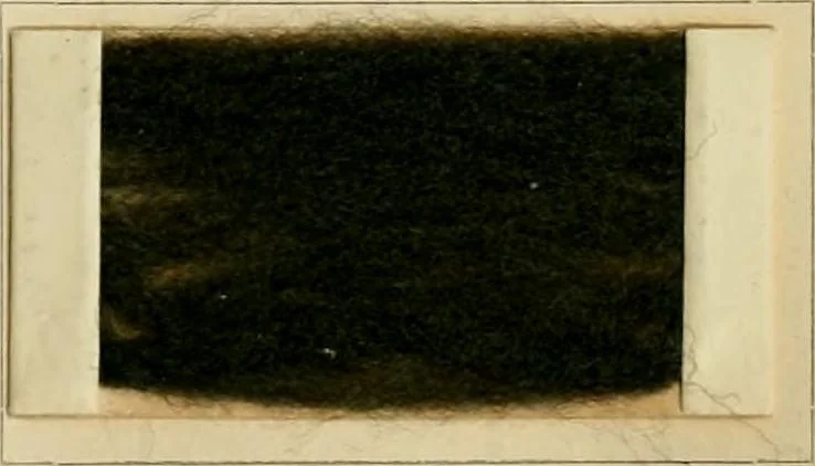 An illustration from The coal tar colours of Farbwerke vorm. Meister Lucius & Brüning, Hoechst on Main, Germany and their application in wool dyeing, 1910, leaf 146