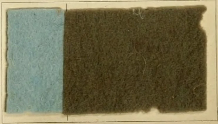 An illustration from The coal tar colours of Farbwerke vorm. Meister Lucius & Brüning, Hoechst on Main, Germany and their application in wool dyeing, 1910, leaf 46