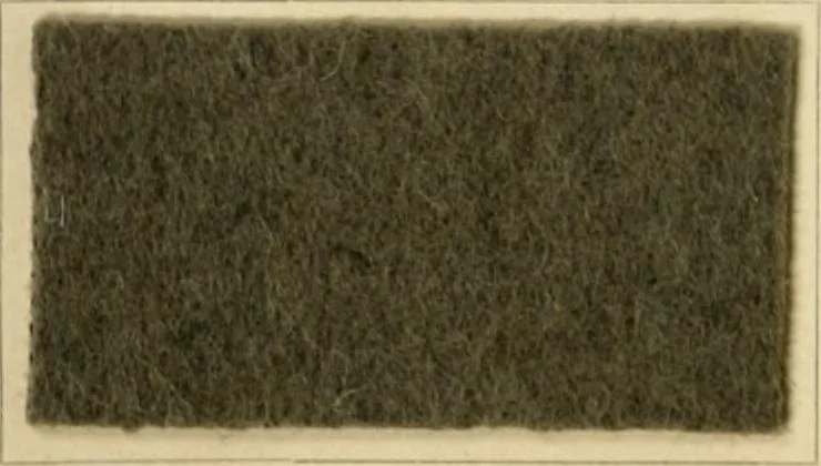 An illustration from The coal tar colours of Farbwerke vorm. Meister Lucius & Brüning, Hoechst on Main, Germany and their application in wool dyeing, 1910, leaf 47