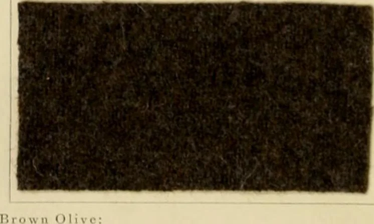 An illustration from The coal tar colours of Farbwerke vorm. Meister Lucius & Brüning, Hoechst on Main, Germany and their application in wool dyeing, 1910, leaf 51
