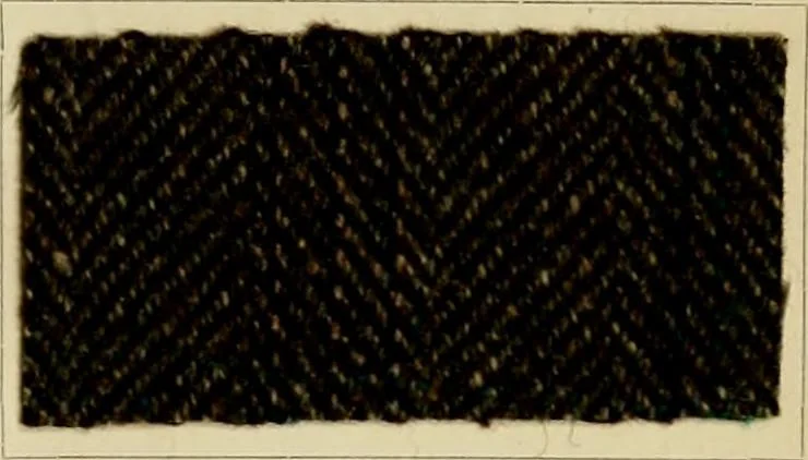An illustration from The coal tar colours of Farbwerke vorm. Meister Lucius & Brüning, Hoechst on Main, Germany and their application in wool dyeing, 1910, leaf 56