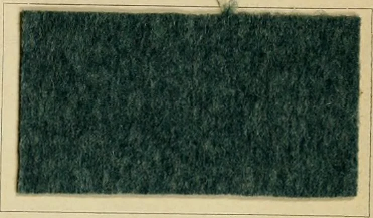 An illustration from The coal tar colours of Farbwerke vorm. Meister Lucius & Brüning, Hoechst on Main, Germany and their application in wool dyeing, 1910, leaf 60