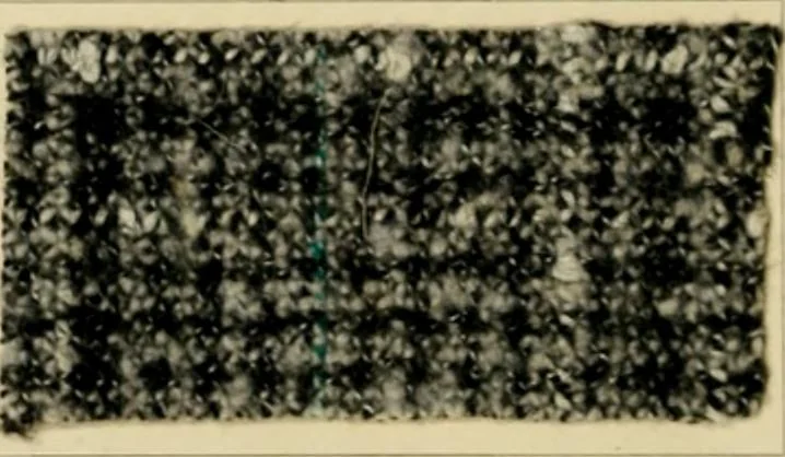 An illustration from The coal tar colours of Farbwerke vorm. Meister Lucius & Brüning, Hoechst on Main, Germany and their application in wool dyeing, 1910, leaf 65