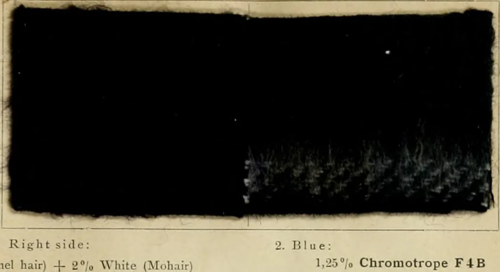 An illustration from The coal tar colours of Farbwerke vorm. Meister Lucius & Brüning, Hoechst on Main, Germany and their application in wool dyeing, 1910, leaf 82