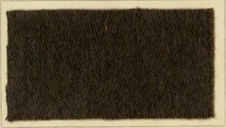 An illustration from The coal tar colours of Farbwerke vorm. Meister Lucius & Brüning, Hoechst on Main, Germany and their application in wool dyeing, 1910, leaf 83