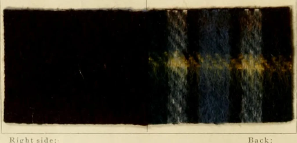 An illustration from The coal tar colours of Farbwerke vorm. Meister Lucius & Brüning, Hoechst on Main, Germany and their application in wool dyeing, 1910, leaf 83