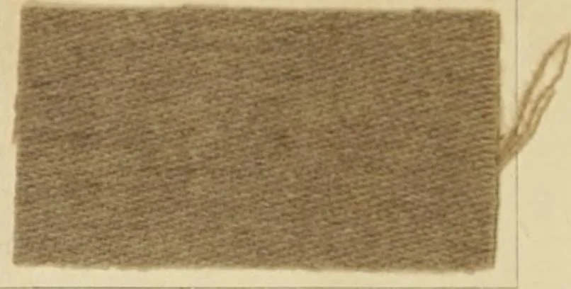 An illustration from The coal tar colours of Farbwerke vorm. Meister Lucius & Brüning, Hoechst on Main, Germany and their application in wool dyeing, 1910, leaf 85