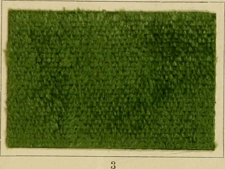 An illustration from The coal tar colours of Farbwerke vorm. Meister Lucius & Brüning : Hoechst on Main : and their application in dyeing cotton and other vegetable fibres, 1907, leaf 100