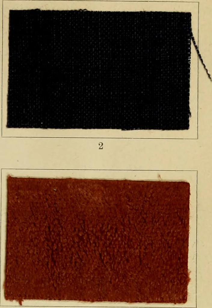 An illustration from The coal tar colours of Farbwerke vorm. Meister Lucius & Brüning : Hoechst on Main : and their application in dyeing cotton and other vegetable fibres, 1907, leaf 100