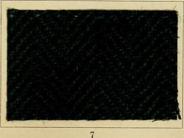 An illustration from The coal tar colours of Farbwerke vorm. Meister Lucius & Brüning : Hoechst on Main : and their application in dyeing cotton and other vegetable fibres, 1907, leaf 100