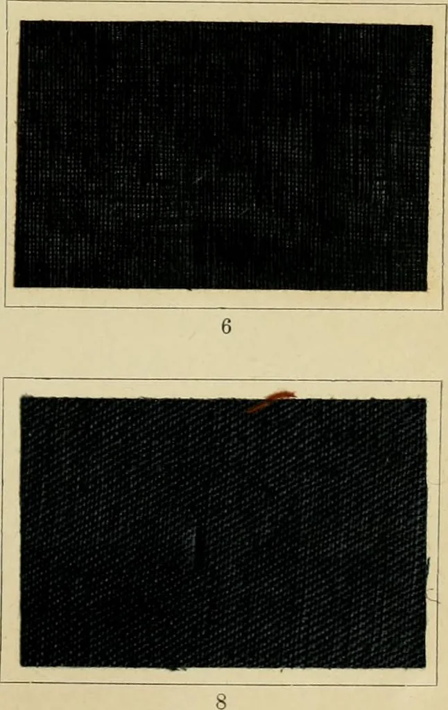 An illustration from The coal tar colours of Farbwerke vorm. Meister Lucius & Brüning : Hoechst on Main : and their application in dyeing cotton and other vegetable fibres, 1907, leaf 100