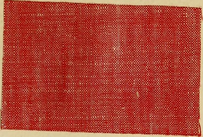 An illustration from The coal tar colours of Farbwerke vorm. Meister Lucius & Brüning : Hoechst on Main : and their application in dyeing cotton and other vegetable fibres, 1907, leaf 102