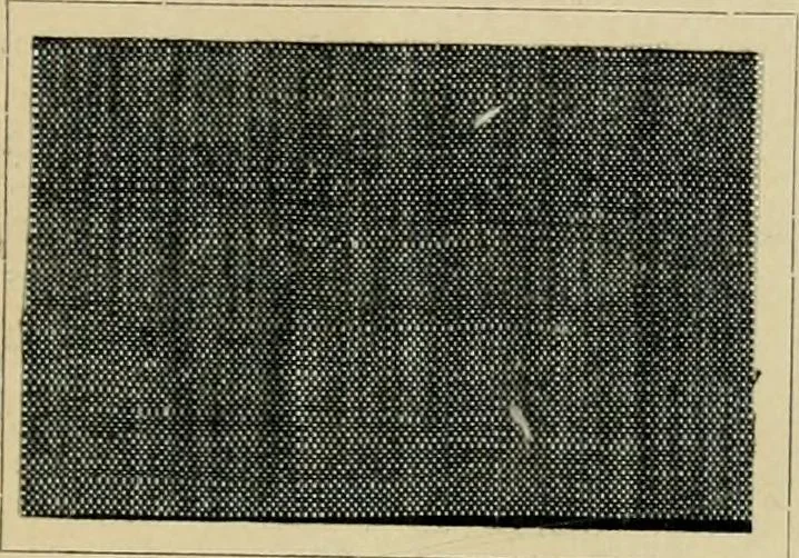 An illustration from The coal tar colours of Farbwerke vorm. Meister Lucius & Brüning : Hoechst on Main : and their application in dyeing cotton and other vegetable fibres, 1907, leaf 102