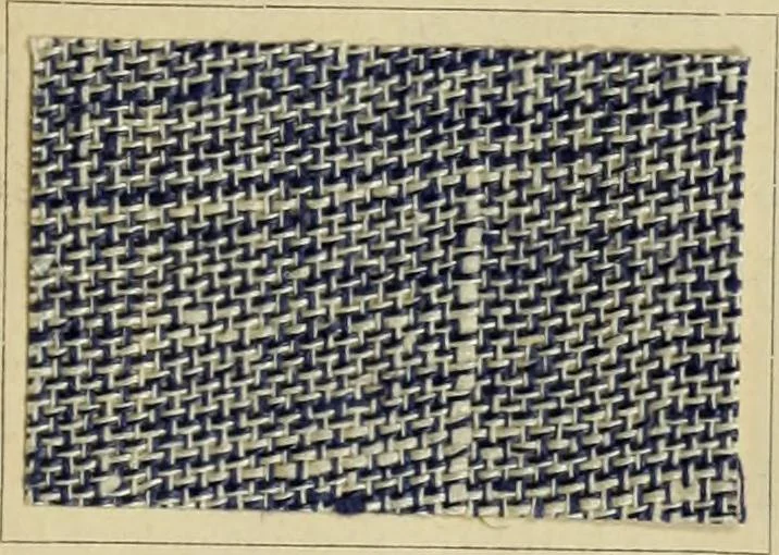 An illustration from The coal tar colours of Farbwerke vorm. Meister Lucius & Brüning : Hoechst on Main : and their application in dyeing cotton and other vegetable fibres, 1907, leaf 102