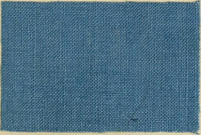 An illustration from The coal tar colours of Farbwerke vorm. Meister Lucius & Brüning : Hoechst on Main : and their application in dyeing cotton and other vegetable fibres, 1907, leaf 102