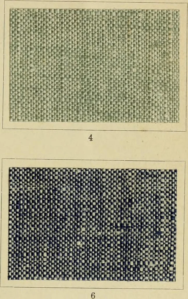 An illustration from The coal tar colours of Farbwerke vorm. Meister Lucius & Brüning : Hoechst on Main : and their application in dyeing cotton and other vegetable fibres, 1907, leaf 102