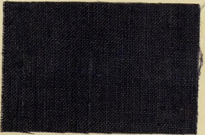 An illustration from The coal tar colours of Farbwerke vorm. Meister Lucius & Brüning : Hoechst on Main : and their application in dyeing cotton and other vegetable fibres, 1907, leaf 102