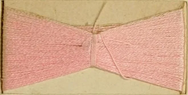 An illustration from The coal tar colours of Farbwerke vorm. Meister Lucius & Brüning : Hoechst on Main : and their application in dyeing cotton and other vegetable fibres, 1907, leaf 110