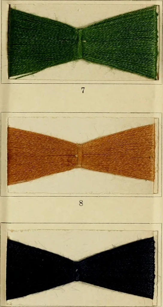 An illustration from The coal tar colours of Farbwerke vorm. Meister Lucius & Brüning : Hoechst on Main : and their application in dyeing cotton and other vegetable fibres, 1907, leaf 110