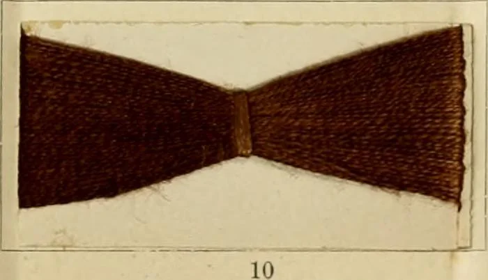 An illustration from The coal tar colours of Farbwerke vorm. Meister Lucius & Brüning : Hoechst on Main : and their application in dyeing cotton and other vegetable fibres, 1907, leaf 110