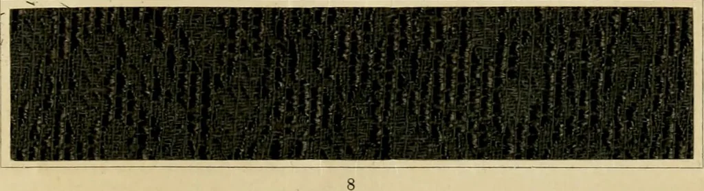 An illustration from The coal tar colours of Farbwerke vorm. Meister Lucius & Brüning : Hoechst on Main : and their application in dyeing cotton and other vegetable fibres, 1907, leaf 118