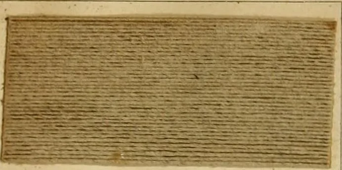 An illustration from The coal tar colours of Farbwerke vorm. Meister Lucius & Brüning : Hoechst on Main : and their application in dyeing cotton and other vegetable fibres, 1907, leaf 120