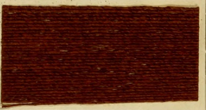 An illustration from The coal tar colours of Farbwerke vorm. Meister Lucius & Brüning : Hoechst on Main : and their application in dyeing cotton and other vegetable fibres, 1907, leaf 120