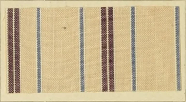 An illustration from The coal tar colours of Farbwerke vorm. Meister Lucius & Brüning : Hoechst on Main : and their application in dyeing cotton and other vegetable fibres, 1907, leaf 143