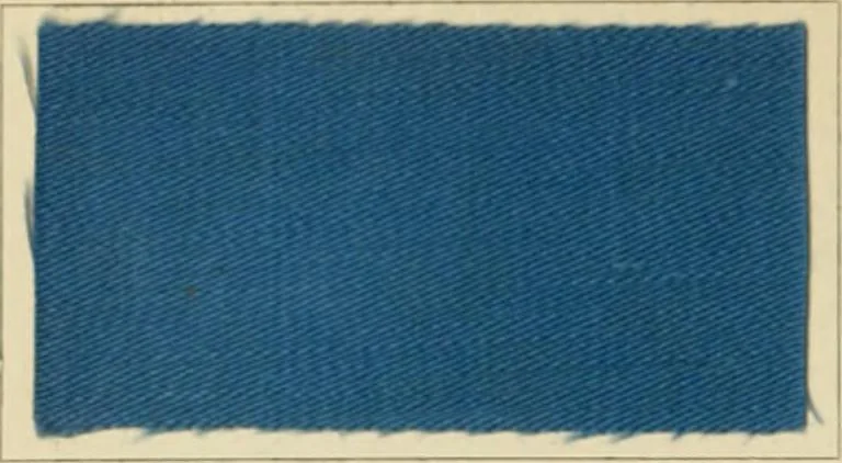 An illustration from The coal tar colours of Farbwerke vorm. Meister Lucius & Brüning : Hoechst on Main : and their application in dyeing cotton and other vegetable fibres, 1907, leaf 147
