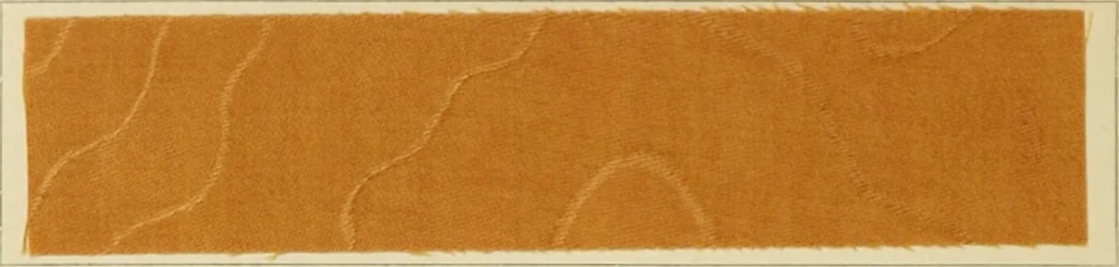 An illustration from The coal tar colours of Farbwerke vorm. Meister Lucius & Brüning : Hoechst on Main : and their application in dyeing cotton and other vegetable fibres, 1907, leaf 149