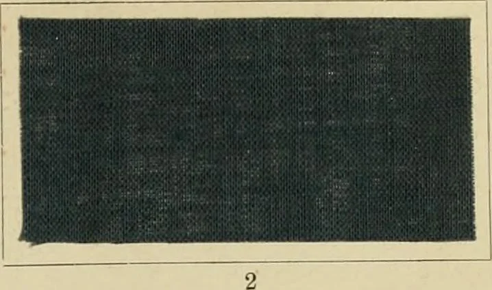 An illustration from The coal tar colours of Farbwerke vorm. Meister Lucius & Brüning : Hoechst on Main : and their application in dyeing cotton and other vegetable fibres, 1907, leaf 28